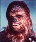 chewbacca.jpg (8479 bytes)