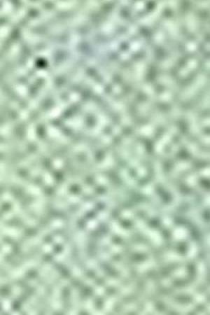 infusoriosd.jpg (11637 bytes)